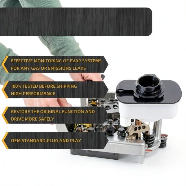 Dasbecan Emissions System Leak Detection Pump-2